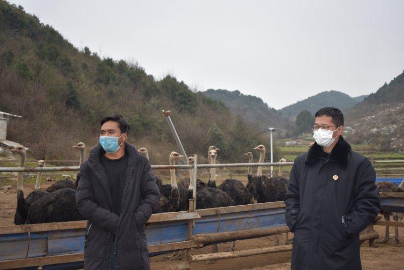 野生饲养场天气预报更新